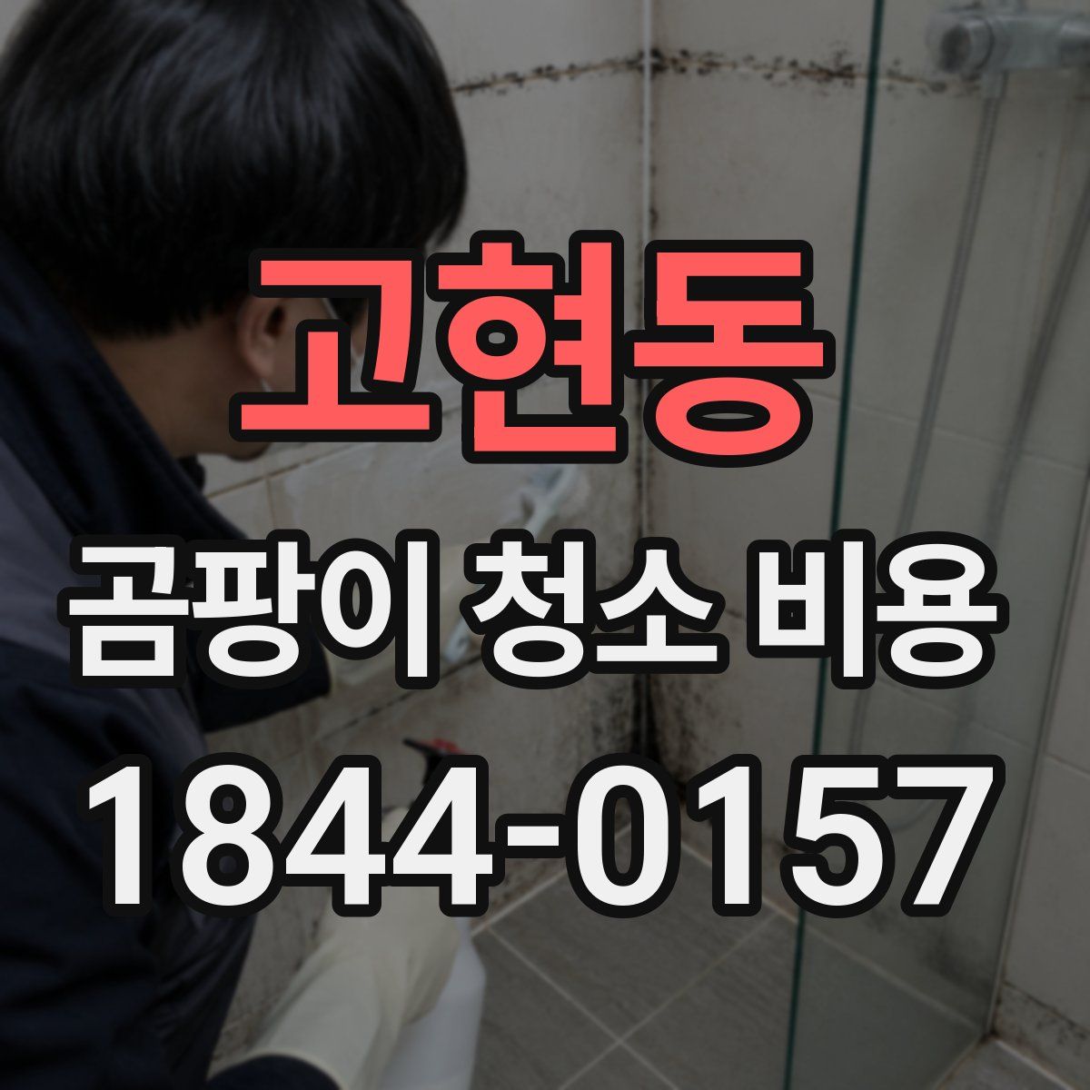 고현동 곰팡이 청소 비용