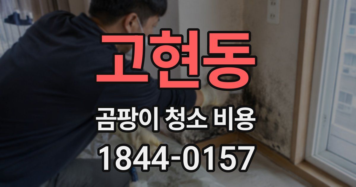 고현동 곰팡이 청소 비용
