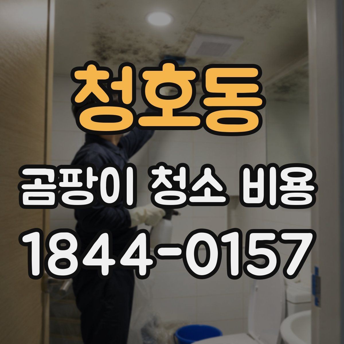 청호동 곰팡이 청소 비용 약품 잔류가 걱정될 때 확인할 점