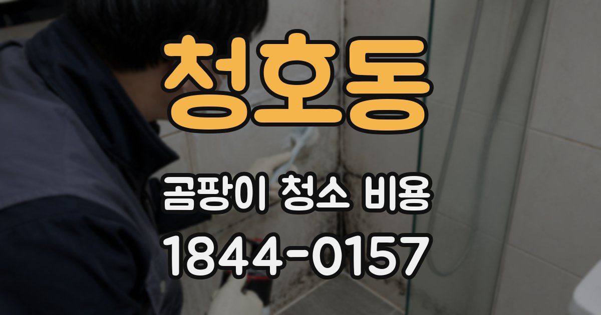 청호동 곰팡이 청소 비용