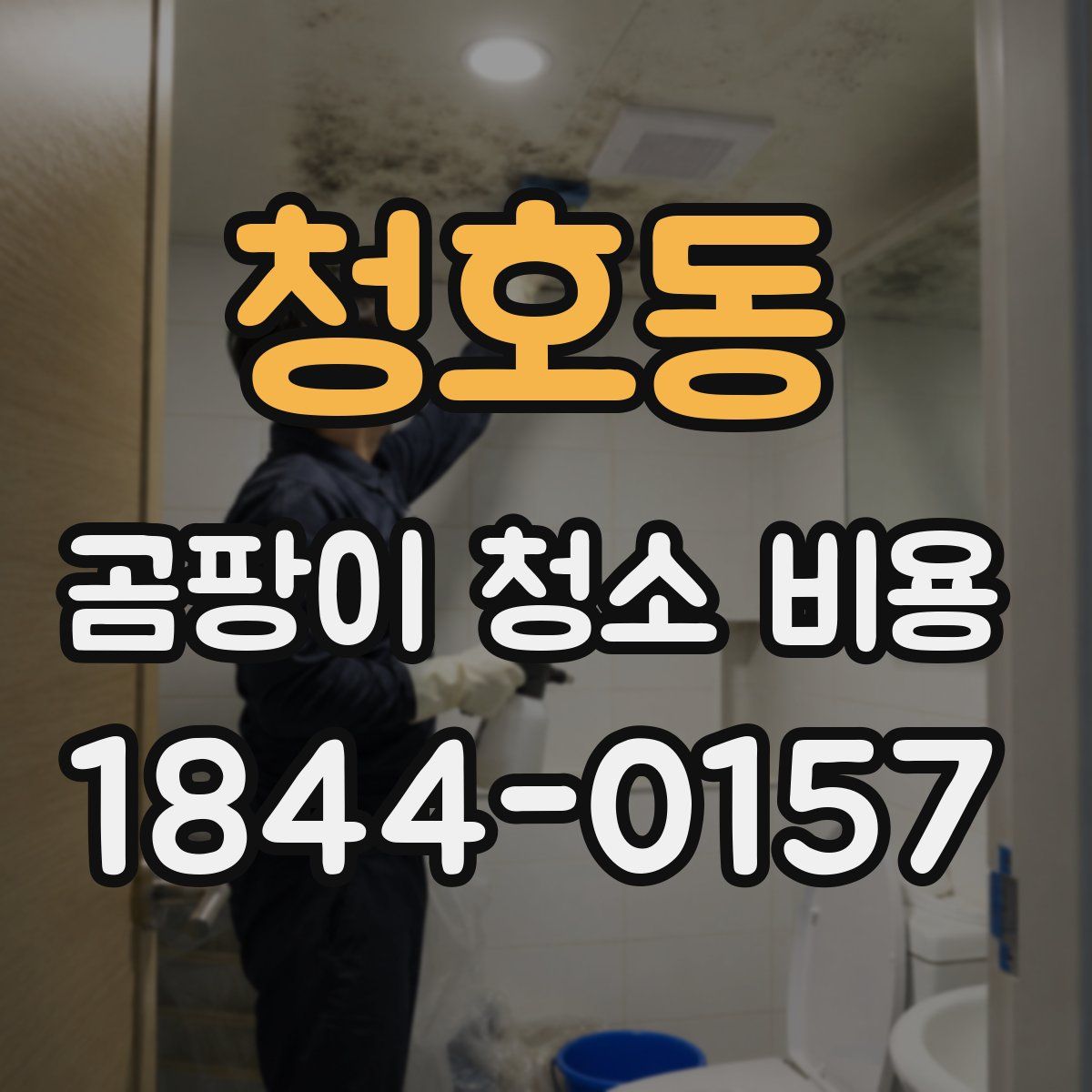 청호동 곰팡이 청소 비용