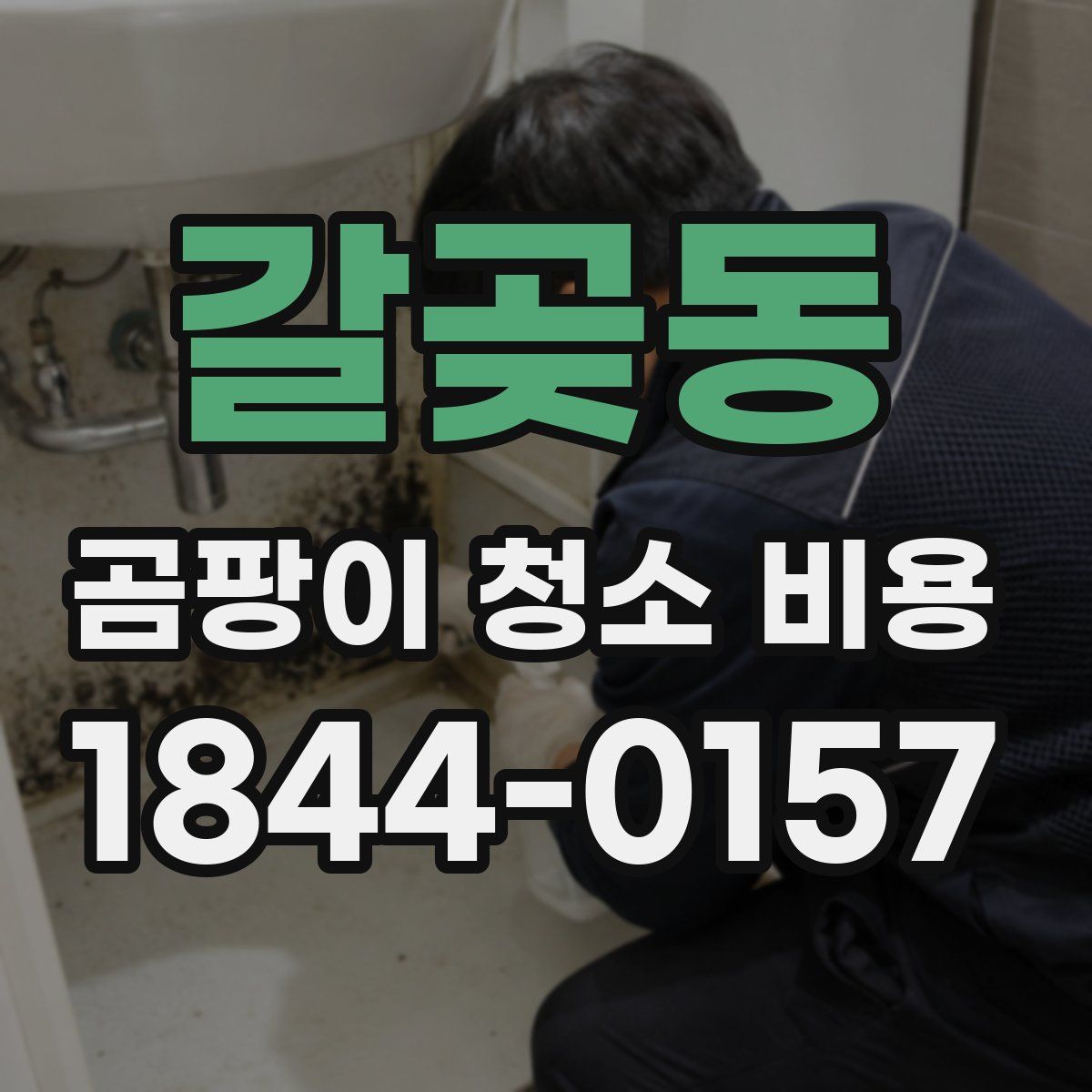 갈곶동 곰팡이 청소 비용