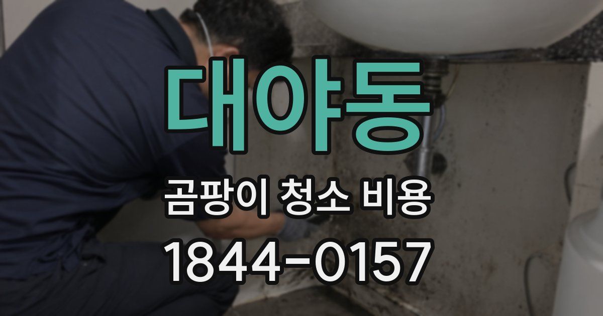 대야동 곰팡이 청소 비용