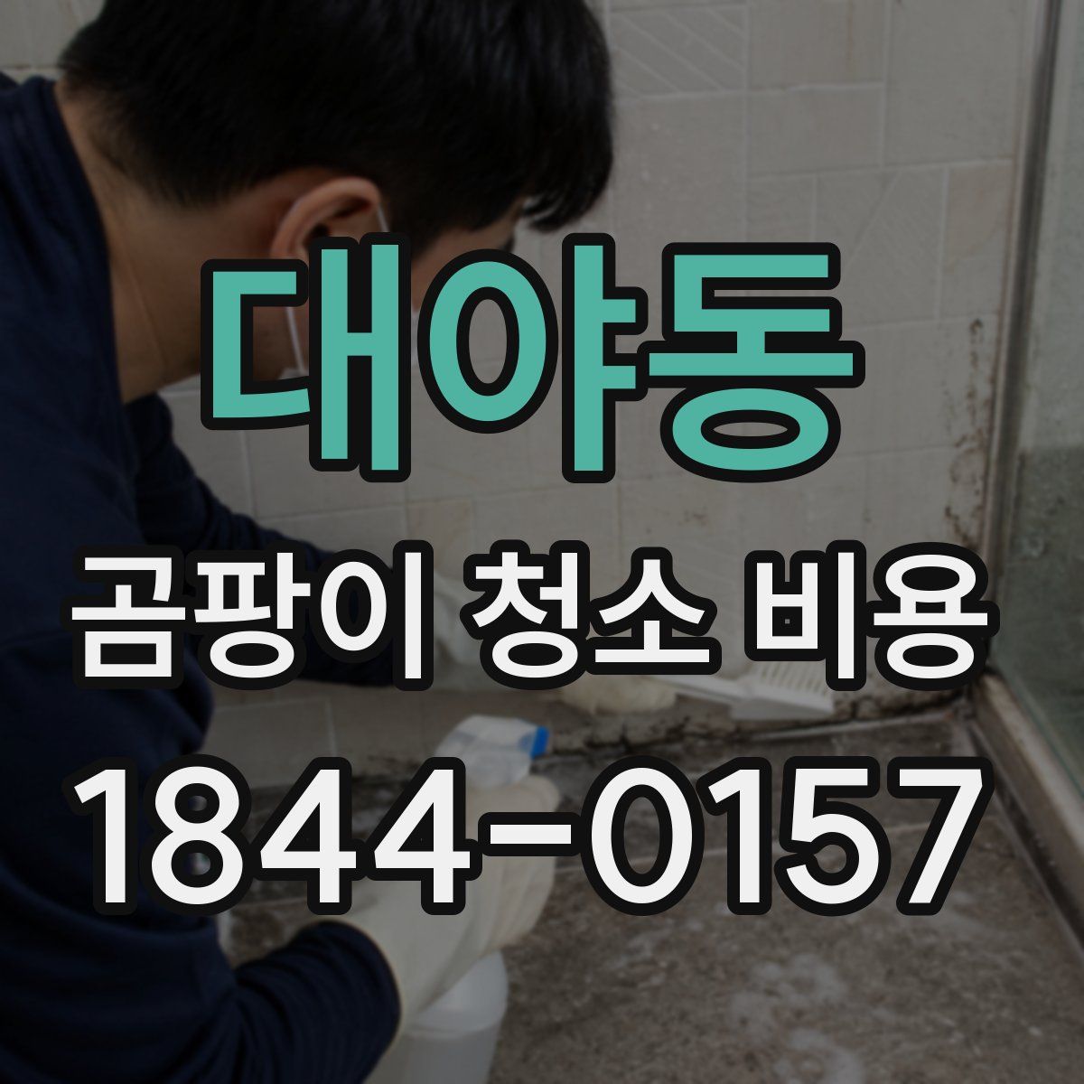 대야동 곰팡이 청소 비용