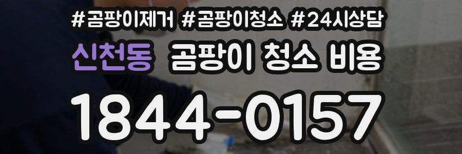 신천동 곰팡이 청소 비용
