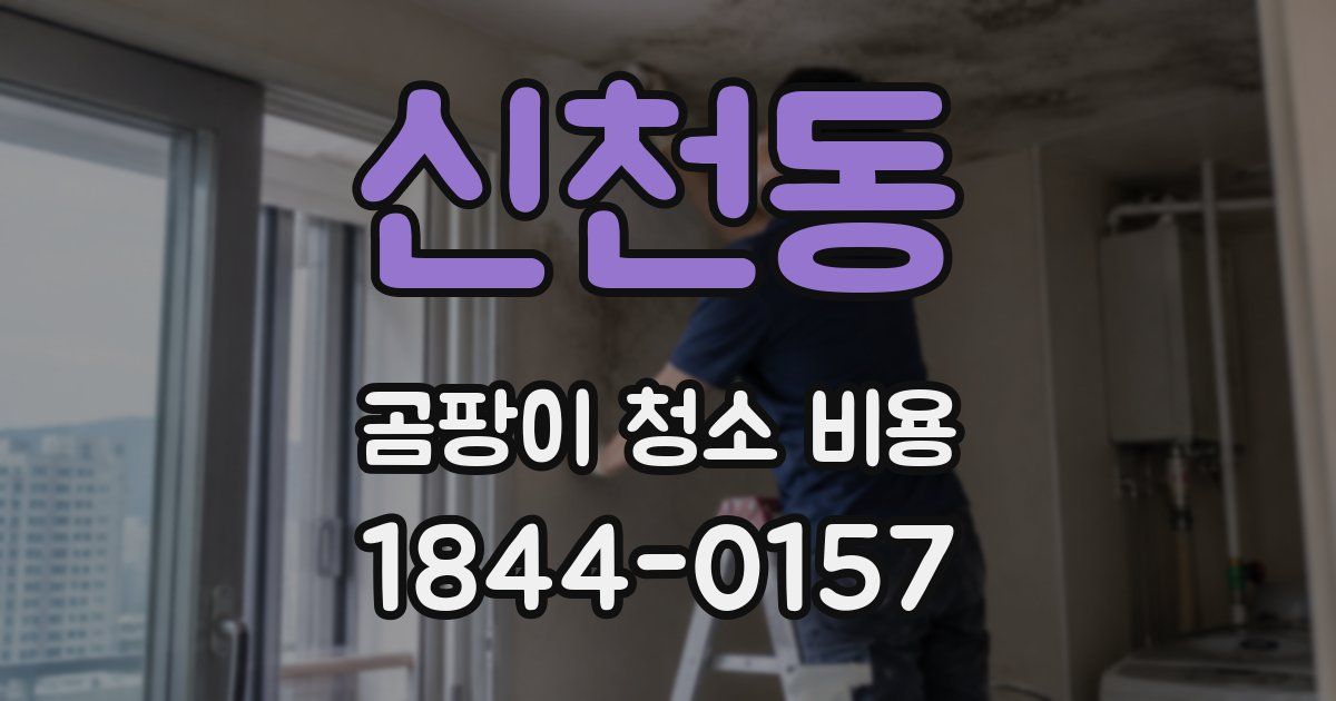 신천동 곰팡이 청소 비용