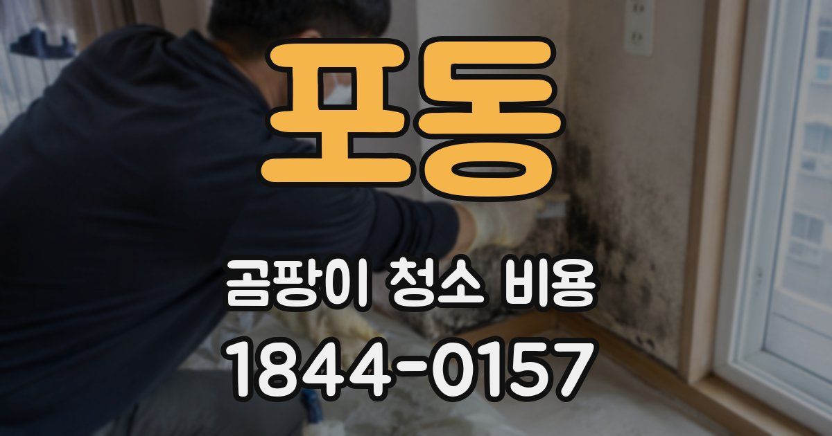 포동 곰팡이 청소 비용