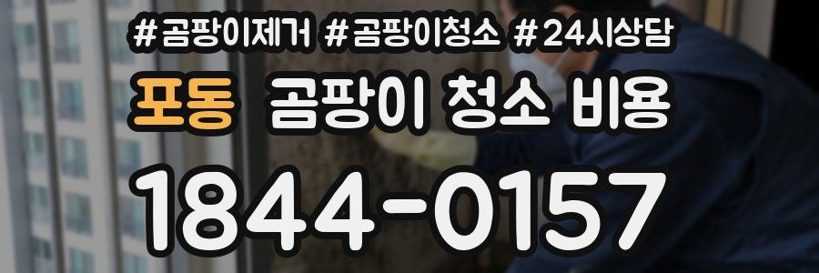 포동 곰팡이 청소 비용