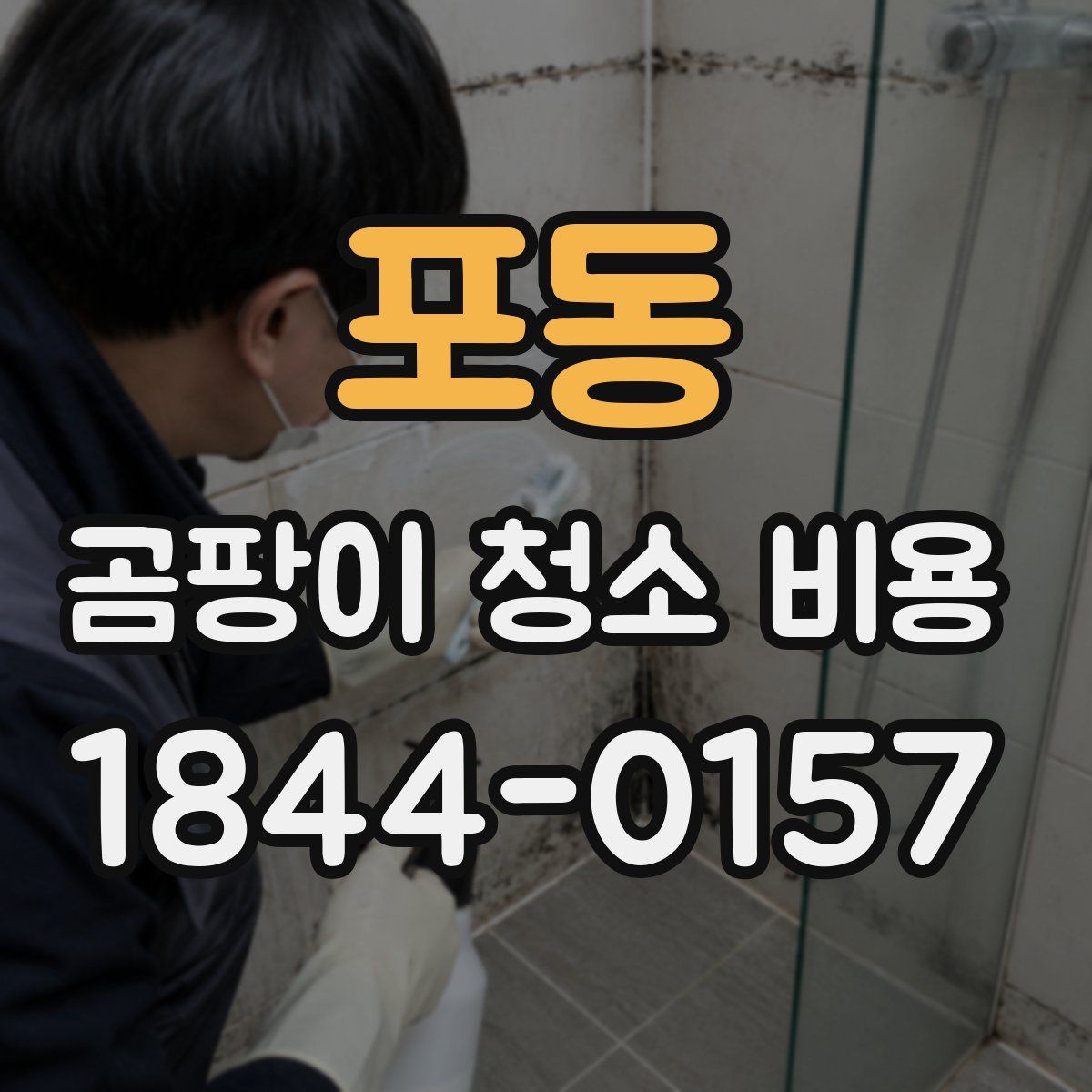 포동 곰팡이 청소 비용