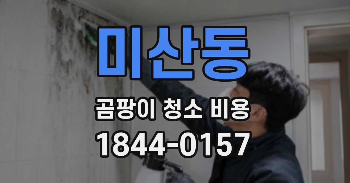 미산동 곰팡이 청소 비용