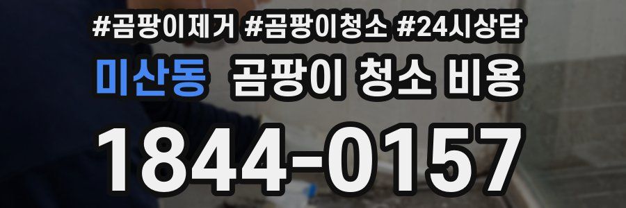 미산동 곰팡이 청소 비용