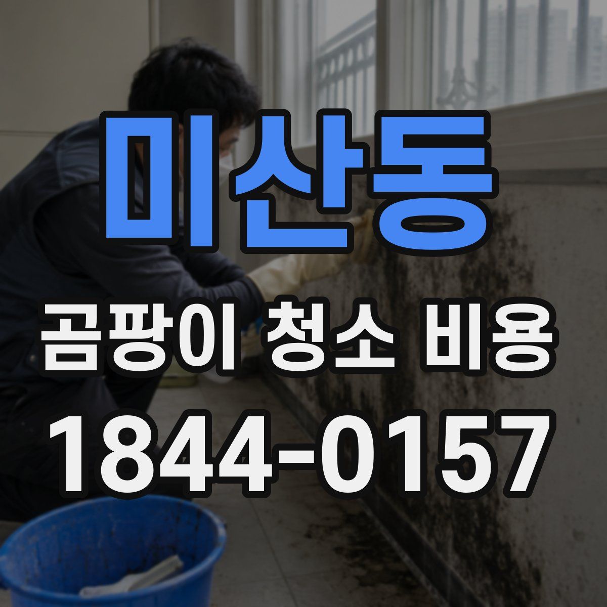 미산동 곰팡이 청소 비용