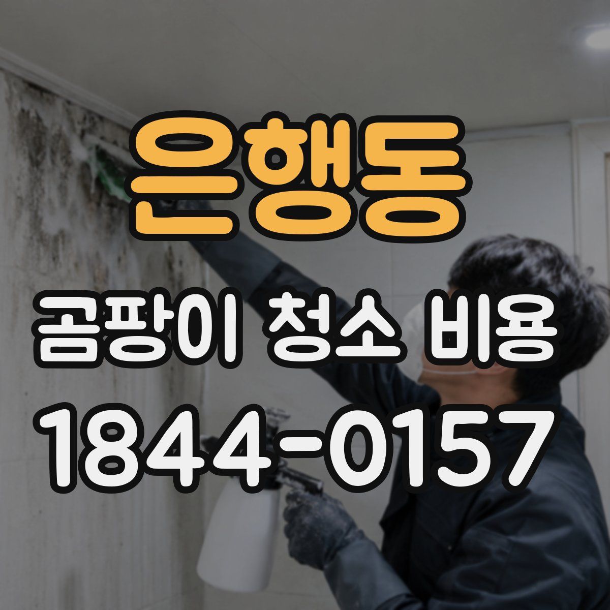 은행동 곰팡이 청소 비용
