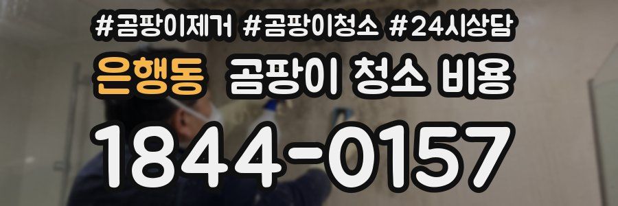은행동 곰팡이 청소 비용