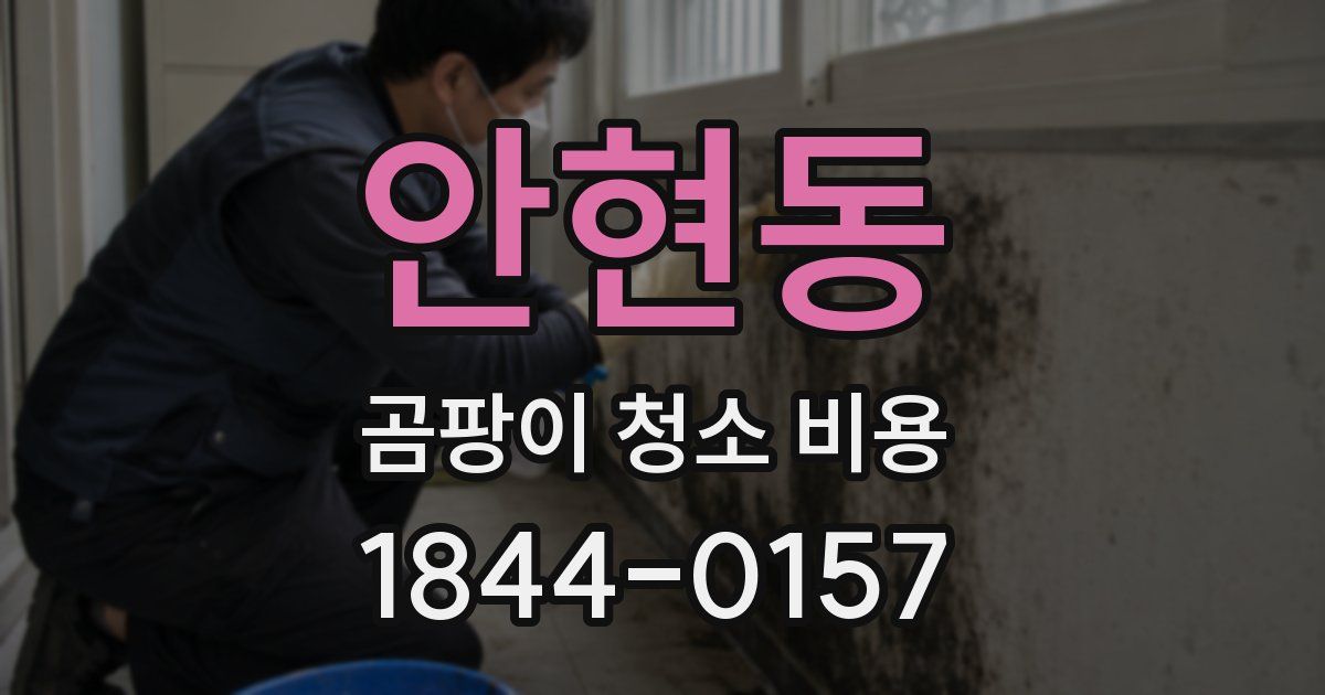 안현동 곰팡이 청소 비용