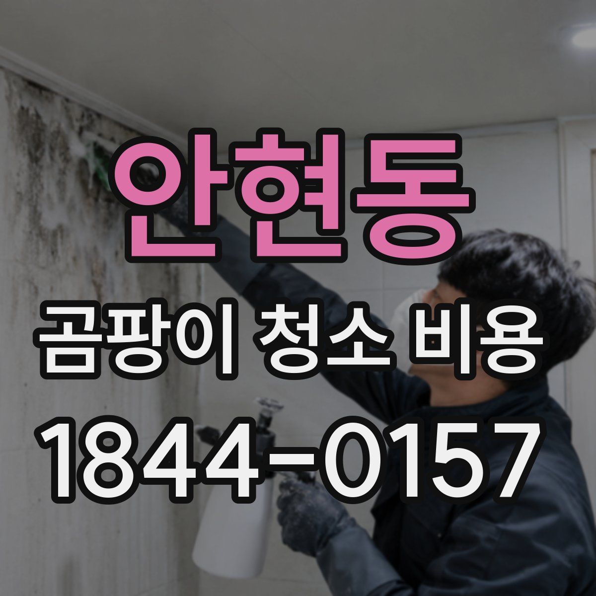 안현동 곰팡이 청소 비용