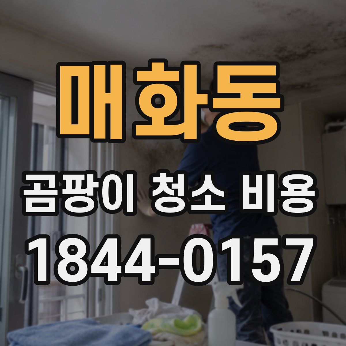 매화동 곰팡이 청소 비용