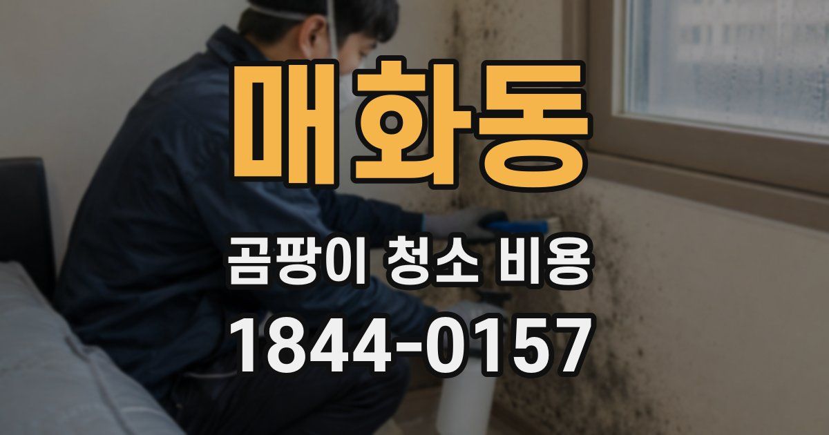 매화동 곰팡이 청소 비용