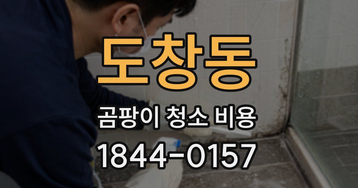 도창동 곰팡이 청소 비용