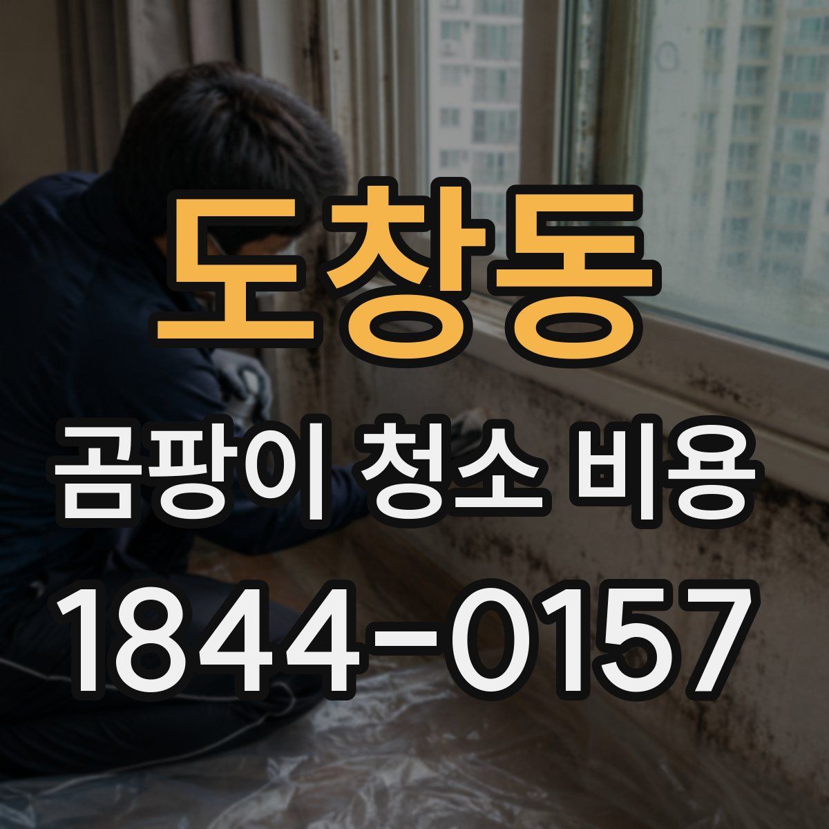 도창동 곰팡이 청소 비용