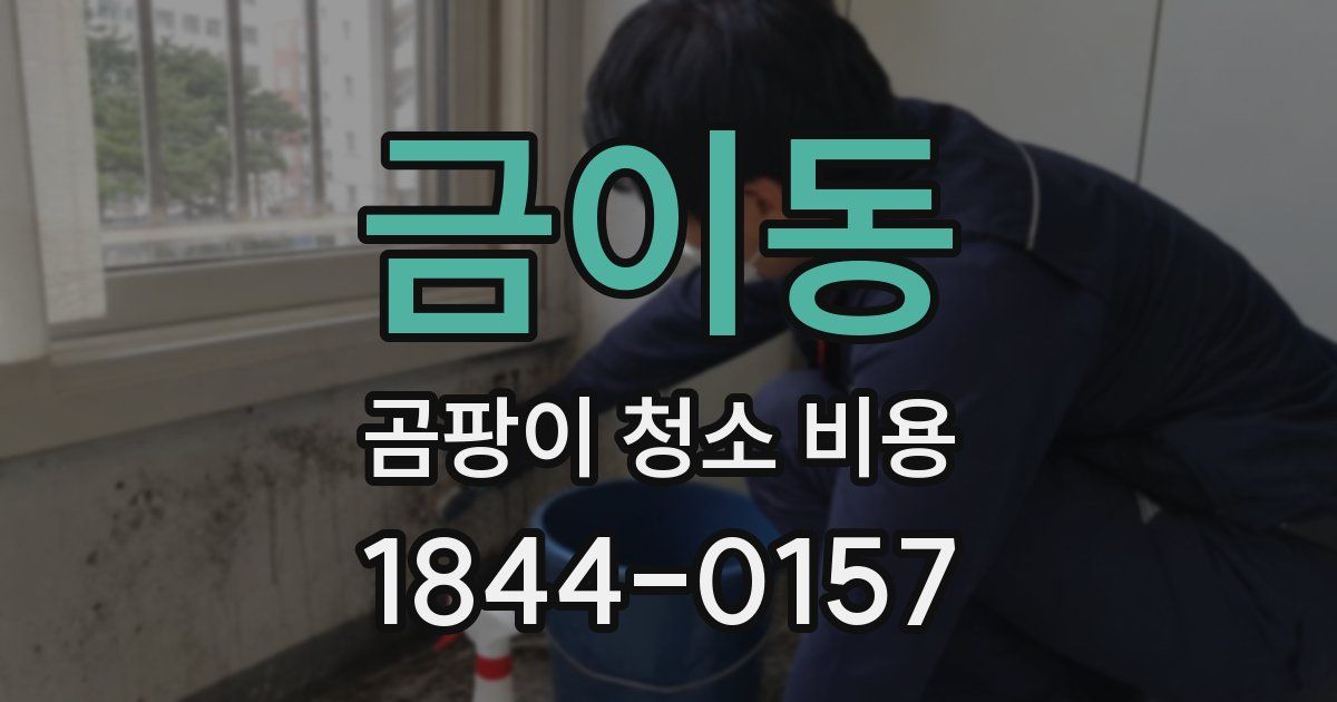 금이동 곰팡이 청소 비용