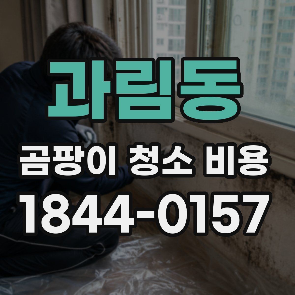 과림동 곰팡이 청소 비용 침구와 매트리스에 생겼을 때 대처법