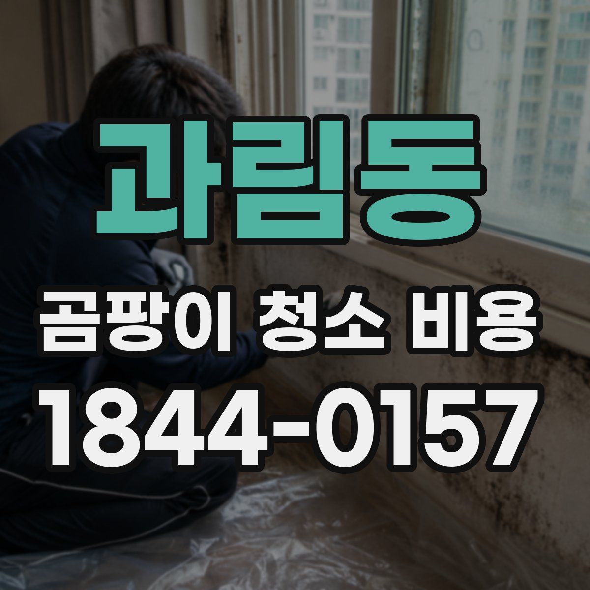 과림동 곰팡이 청소 비용
