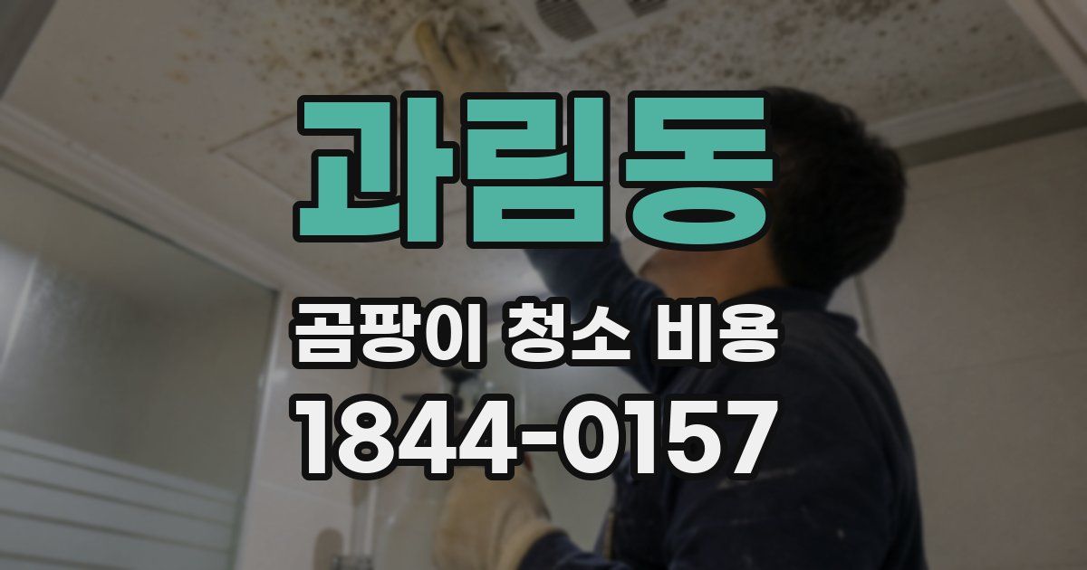 과림동 곰팡이 청소 비용