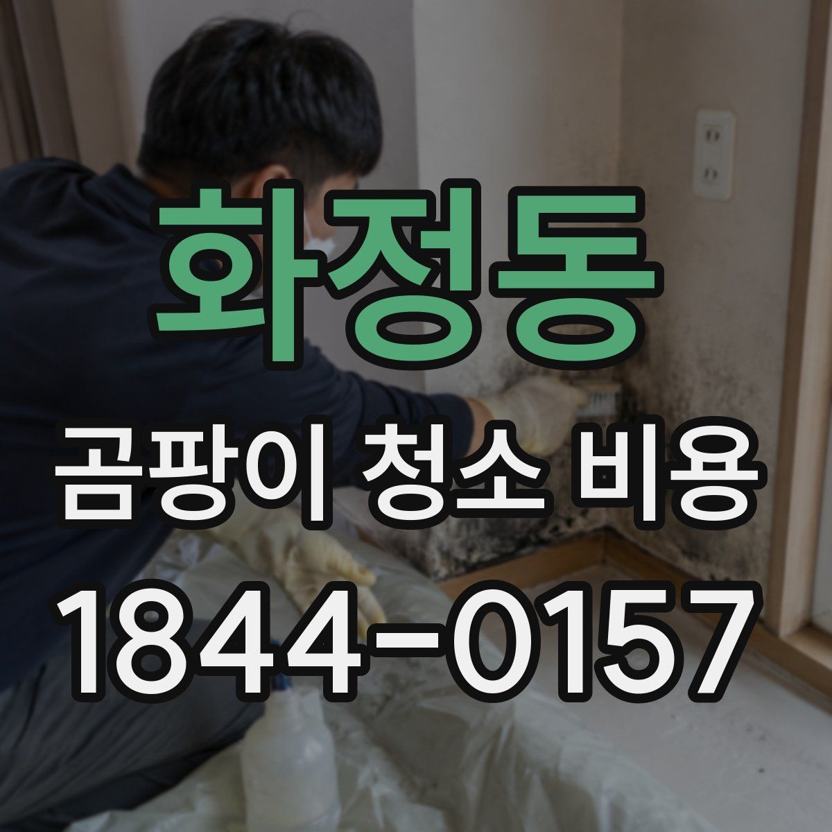 화정동 곰팡이 청소 비용