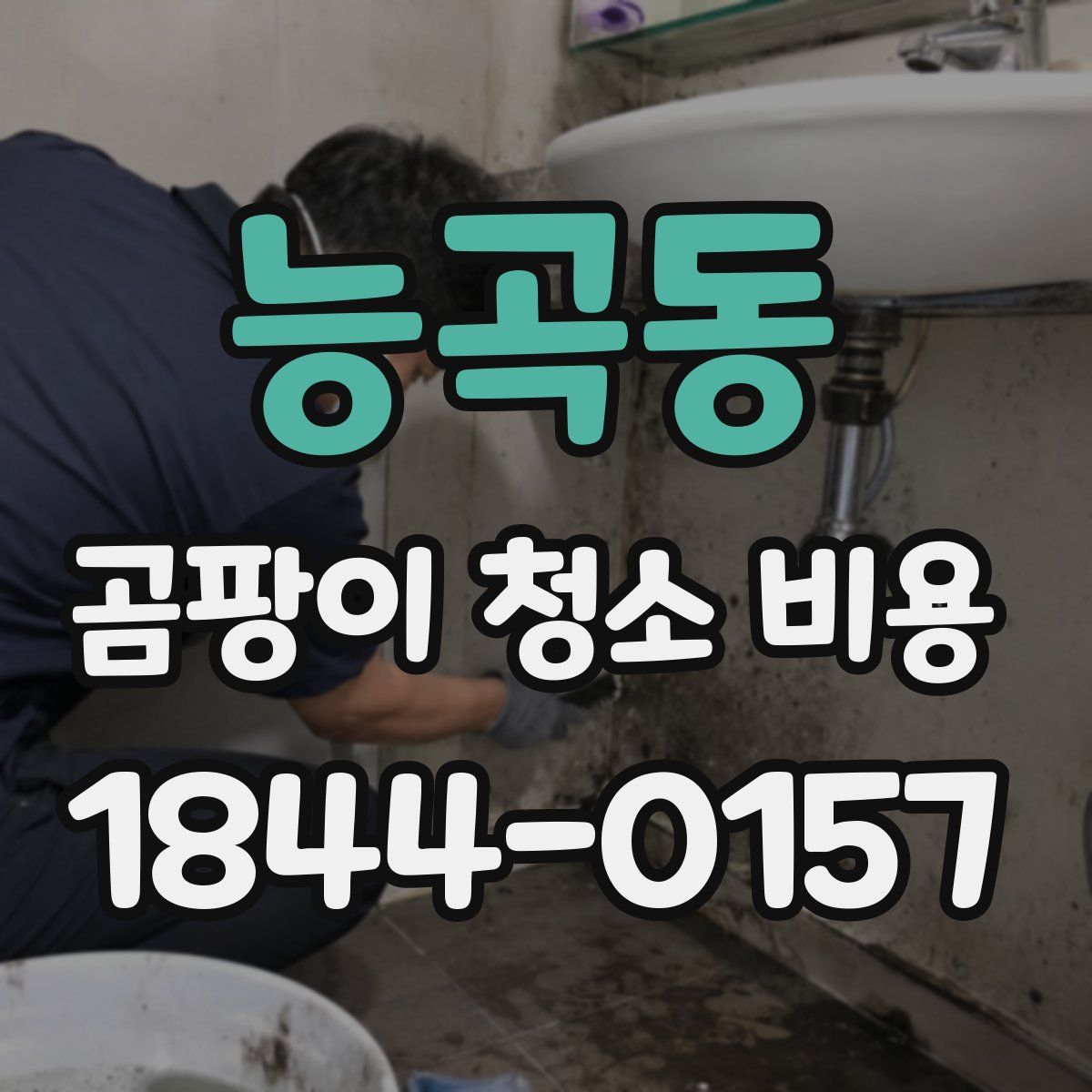 능곡동 곰팡이 청소 비용