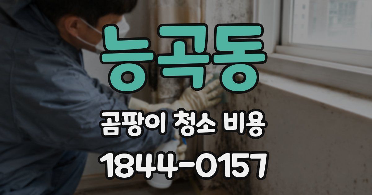 능곡동 곰팡이 청소 비용