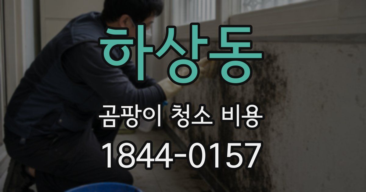 하상동 곰팡이 청소 비용