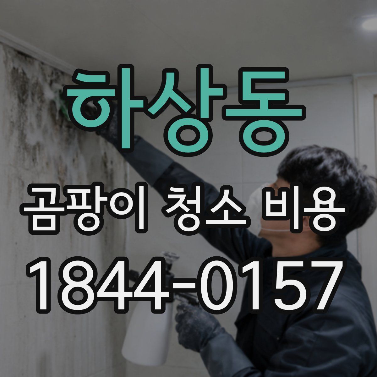 하상동 곰팡이 청소 비용