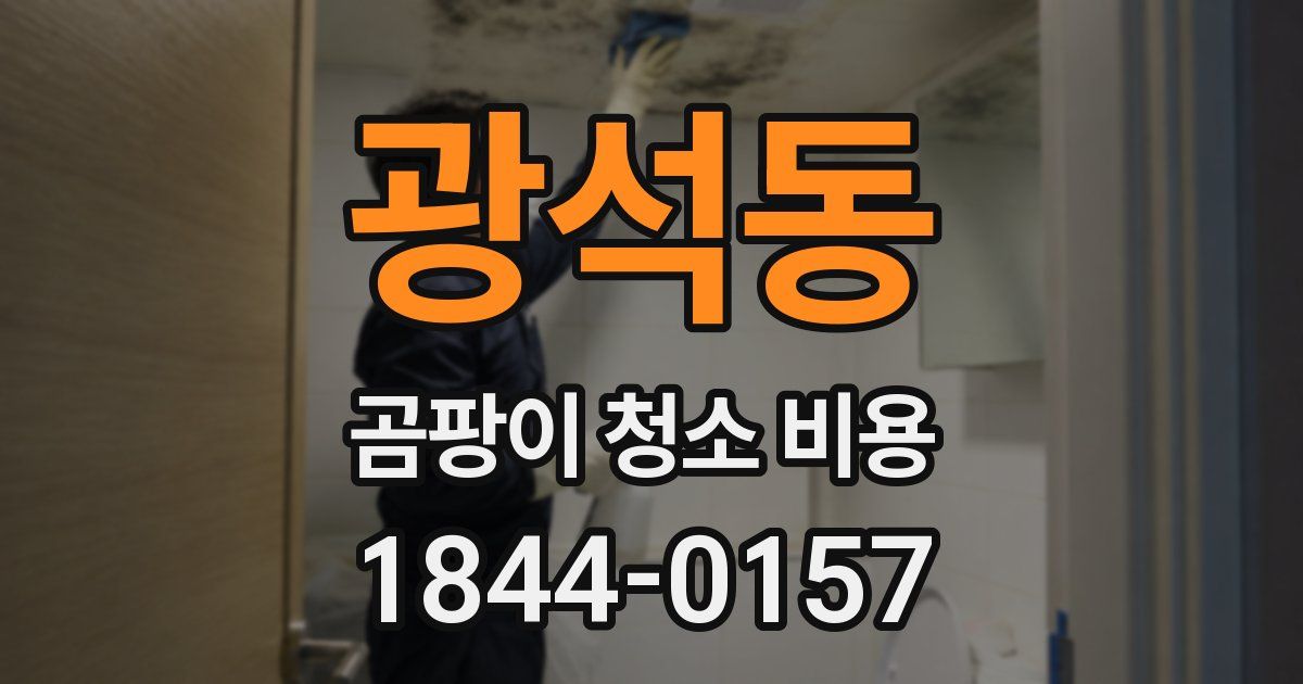 광석동 곰팡이 청소 비용