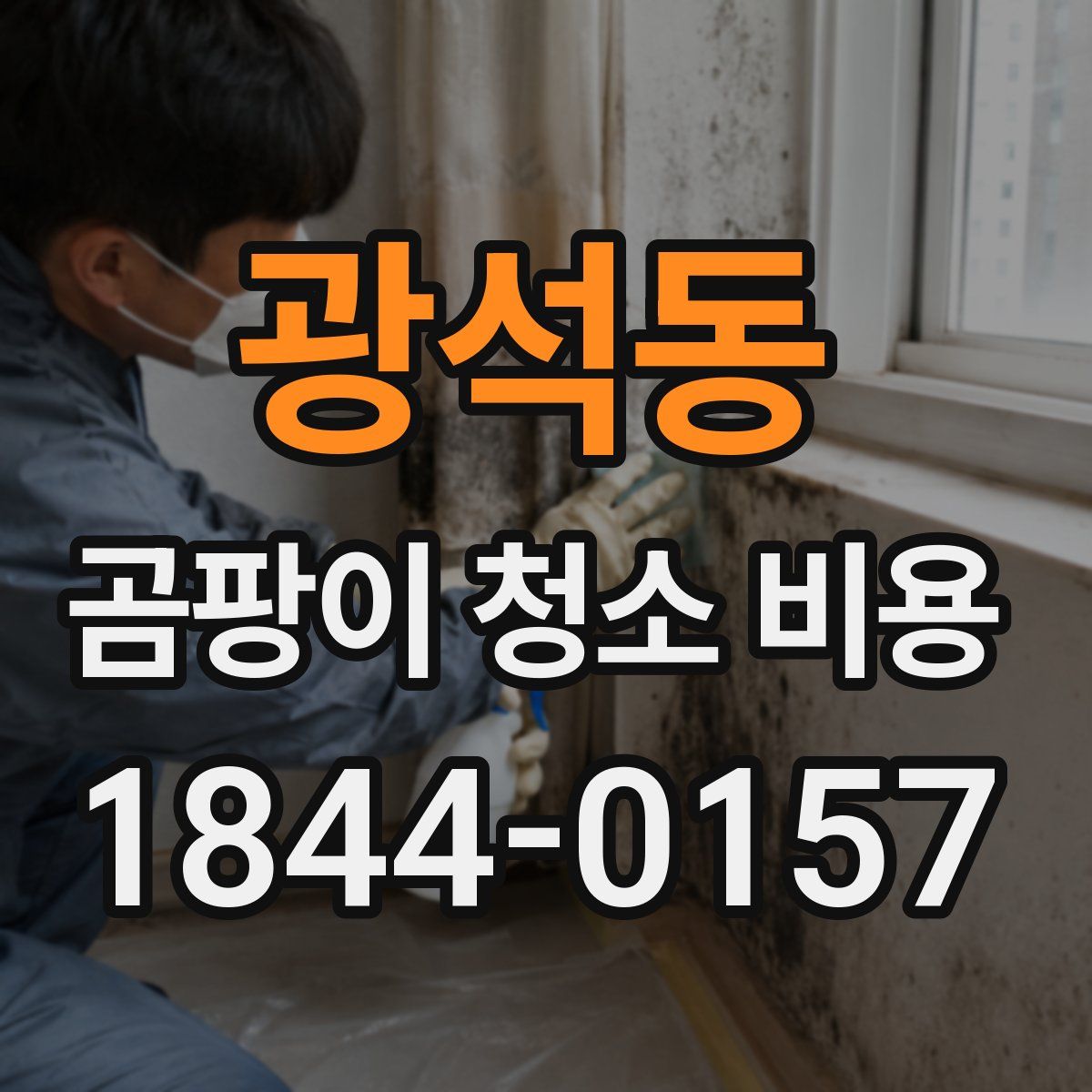 광석동 곰팡이 청소 비용