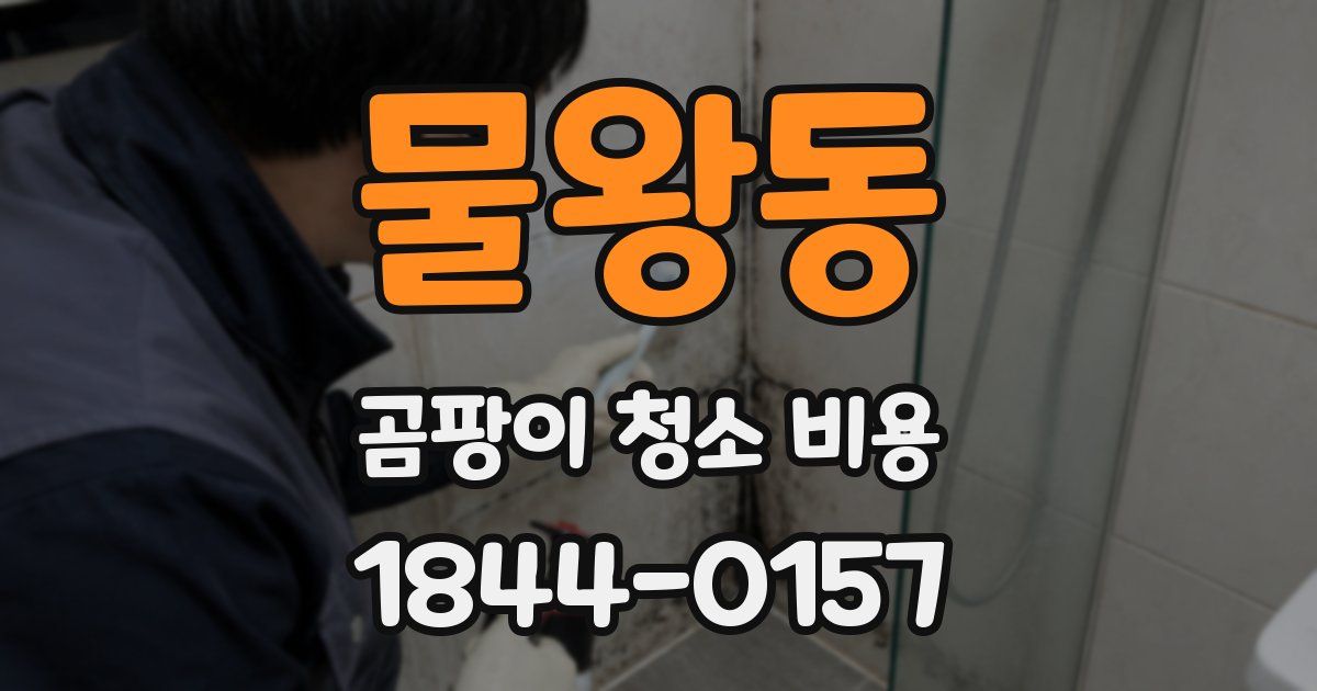 물왕동 곰팡이 청소 비용