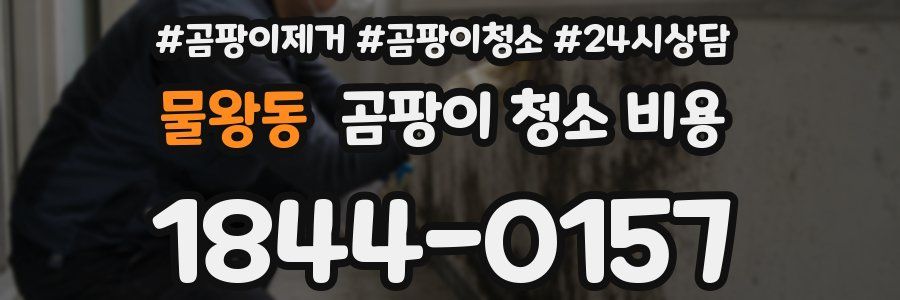 물왕동 곰팡이 청소 비용