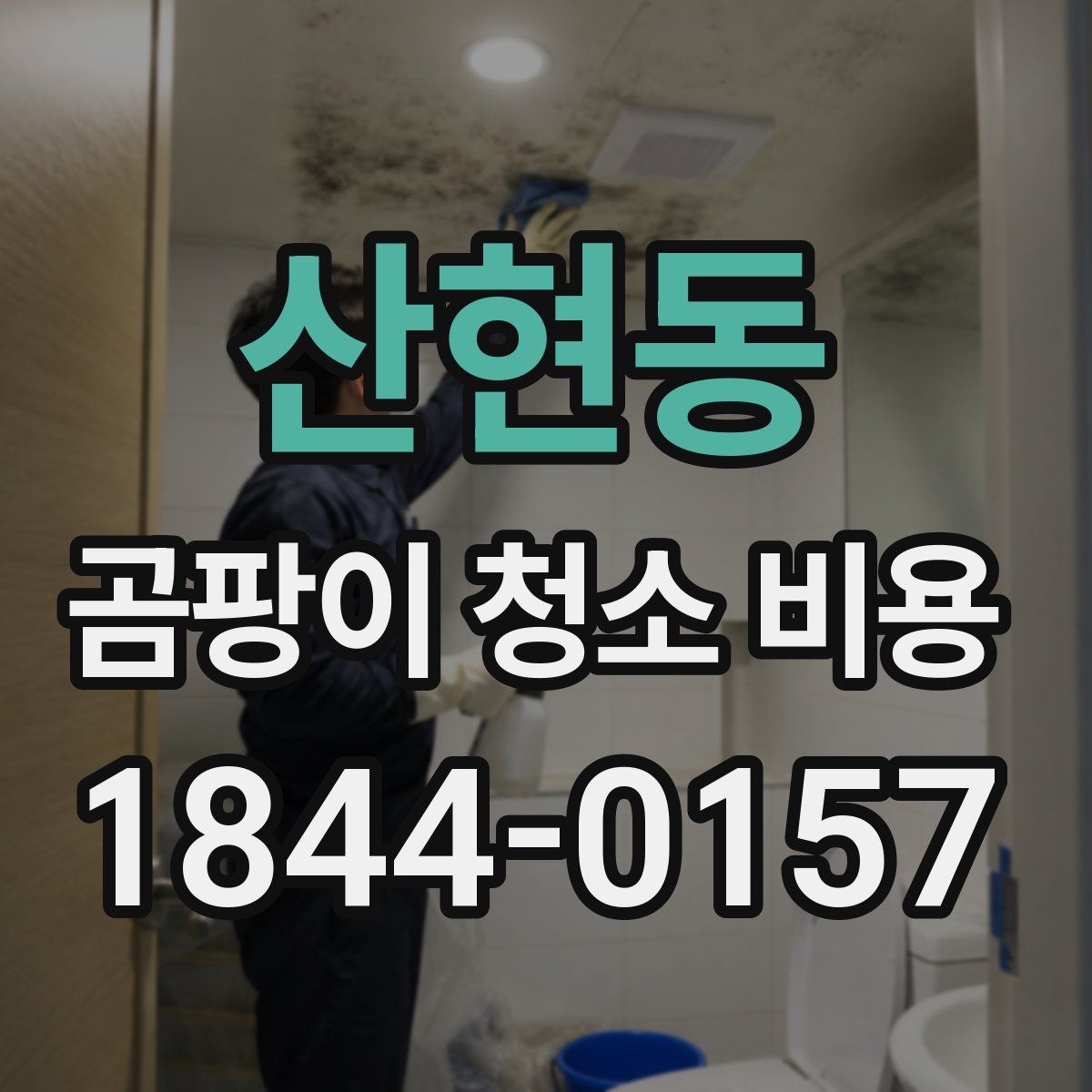 산현동 곰팡이 청소 비용