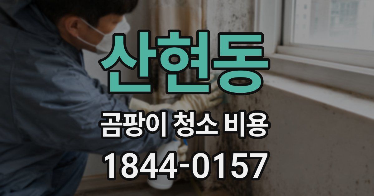 산현동 곰팡이 청소 비용