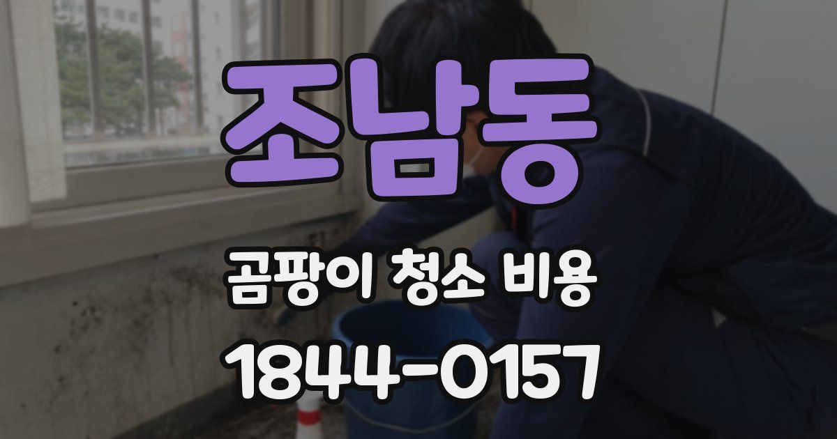 조남동 곰팡이 청소 비용