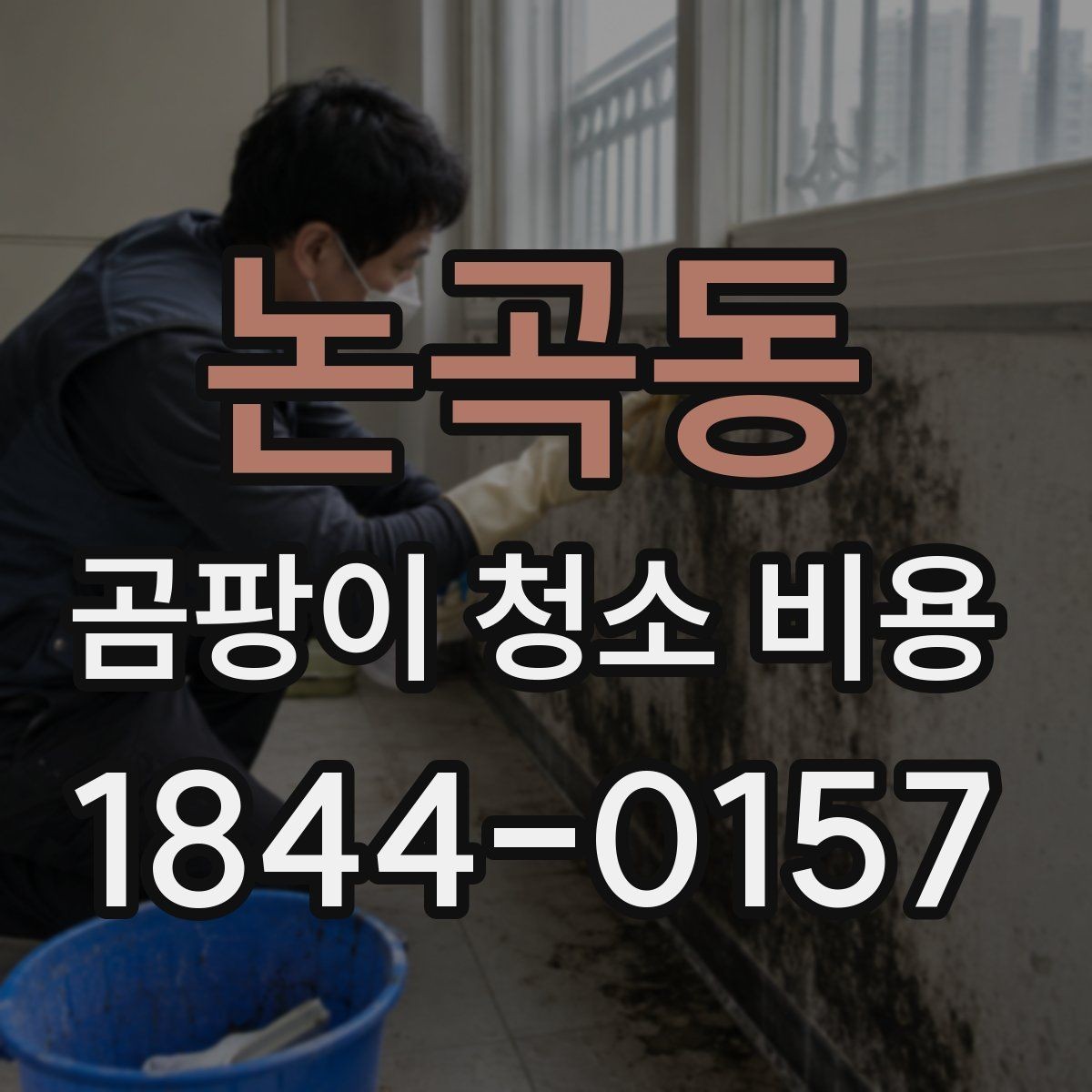 논곡동 곰팡이 청소 비용 원룸과 오피스텔 문의가 많은 이유