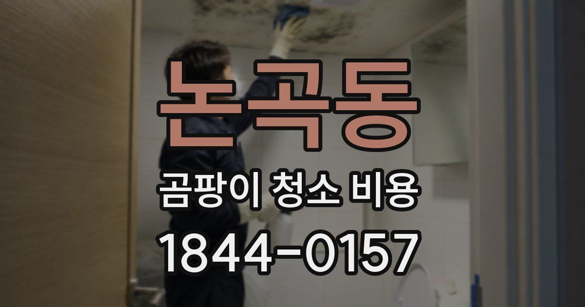 논곡동 곰팡이 청소 비용