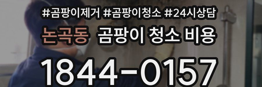 논곡동 곰팡이 청소 비용