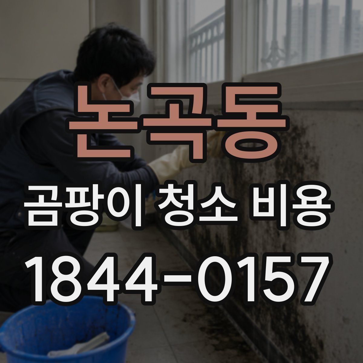 논곡동 곰팡이 청소 비용