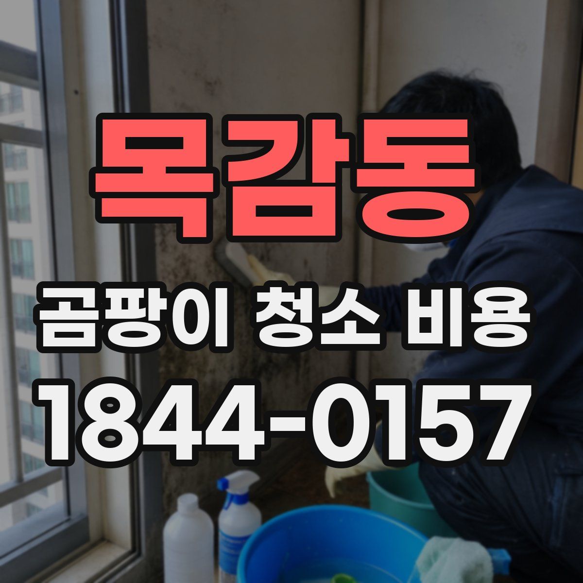목감동 곰팡이 청소 비용