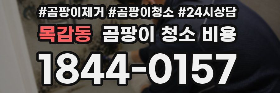 목감동 곰팡이 청소 비용