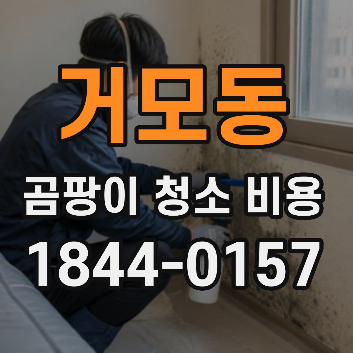거모동 곰팡이 청소 비용