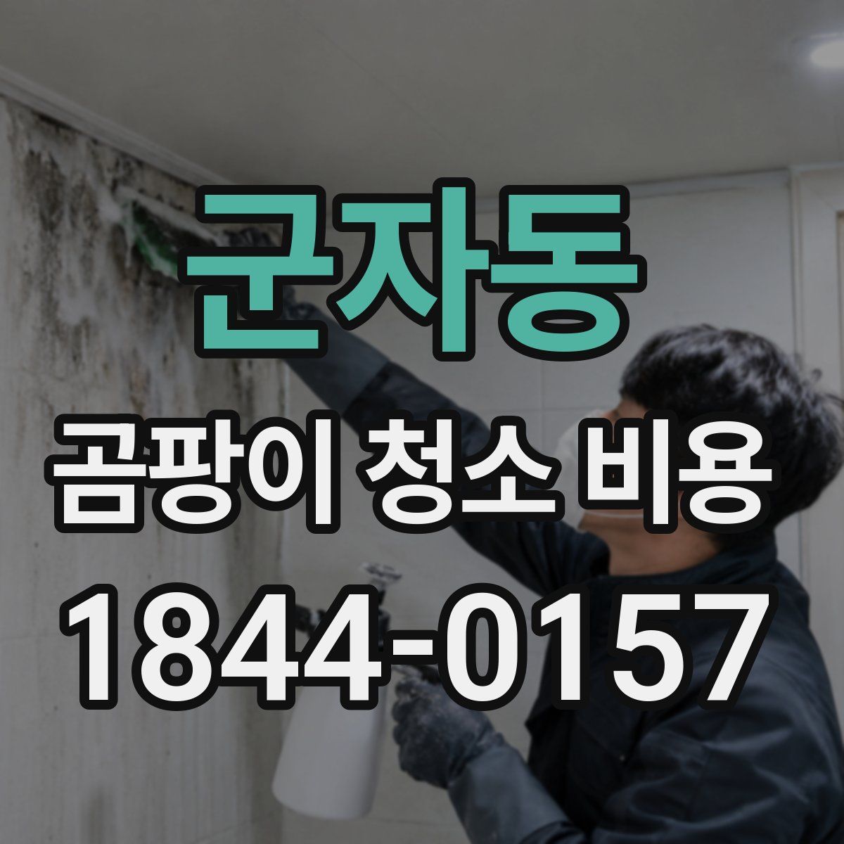 군자동 곰팡이 청소 비용