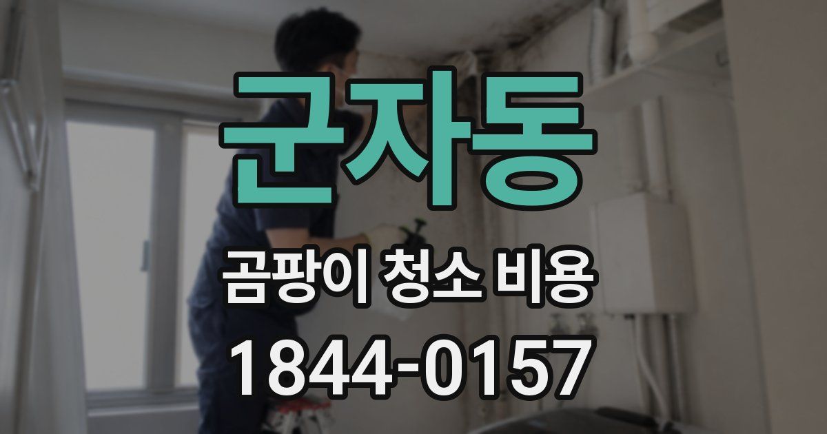 군자동 곰팡이 청소 비용
