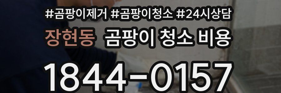 장현동 곰팡이 청소 비용